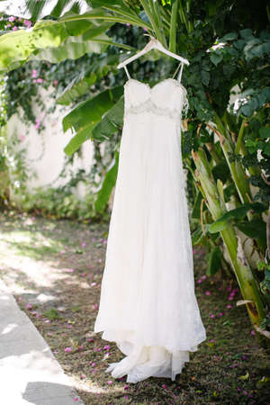 Wedding dress hanging in the garden. Sunny and hot weather.の写真素材