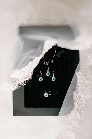 Green stone jewelry set. Necklace, dog and ring. In a black box. Lacy Tulle.の写真素材