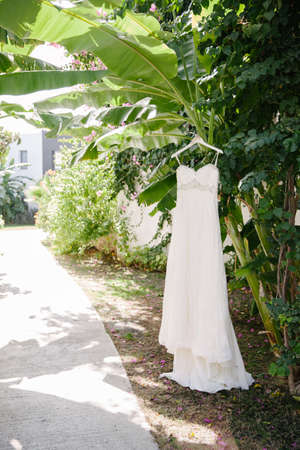 Wedding dress hanging in the garden. Sunny and hot weather.の写真素材