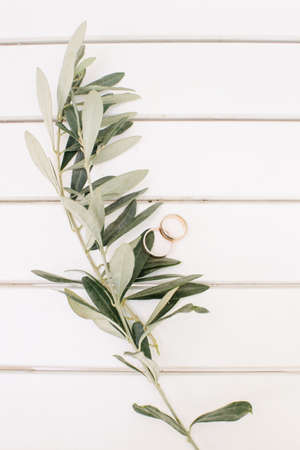 Wedding rings and olive branch. On a white background.の写真素材
