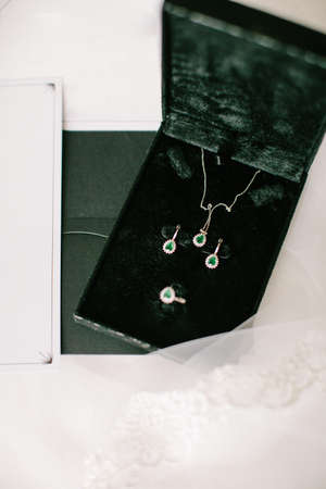Green stone jewelry set. Necklace, dog and ring. In a black box. Lacy Tulle.の写真素材