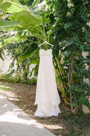 Wedding dress hanging in the garden. Sunny and hot weather.の写真素材
