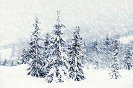 Beautiful winter landscape with snow covered treesの写真素材