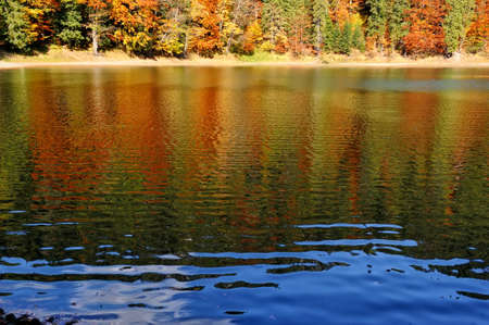 Autumn colorful foliage over lake with beautiful woods in red and yellow colorの写真素材