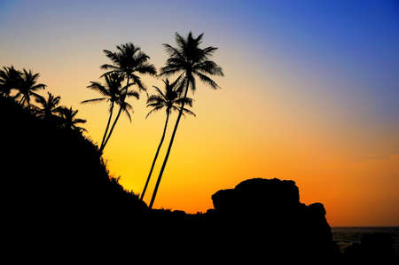Beautiful tropical sunset with palm trees at beachの写真素材