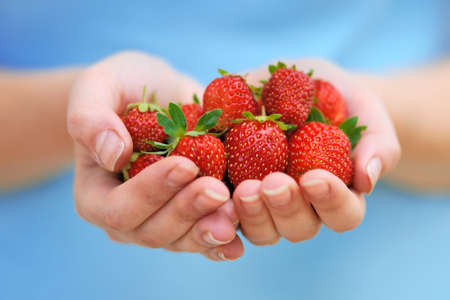 Close-up hands holding fresh strawberriesの写真素材