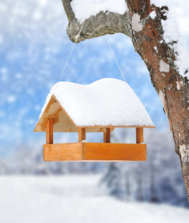 Wooden bird feeder on a treeの写真素材