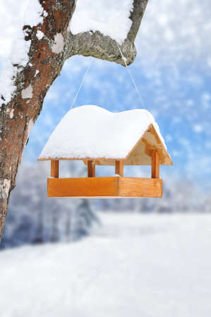 Wooden bird feeder on a treeの写真素材
