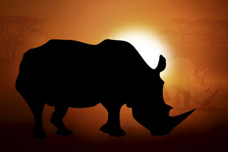 Silhouettes rhino against the sunset in Africaの写真素材