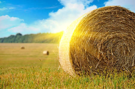 Straw bales in irish countrysideの写真素材