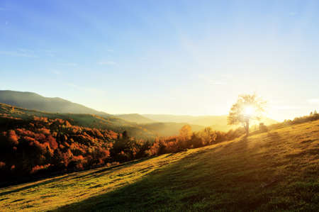 Mountain autumn landscape with colorful forestの写真素材