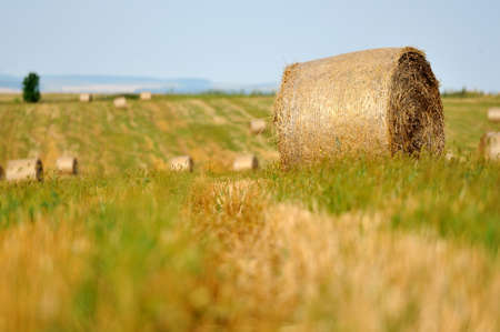 Straw bales in irish countrysideの写真素材