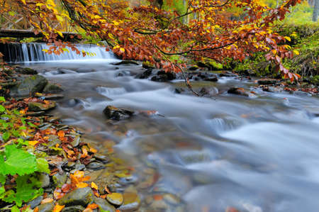 Beautiful waterfall in forest, autumn landscapeの写真素材