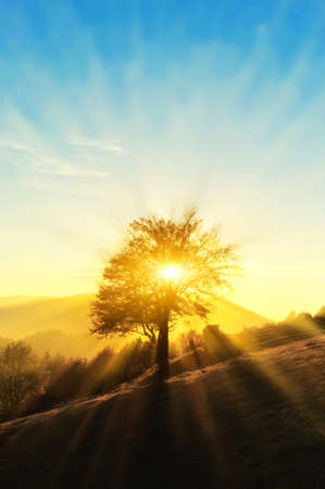 Autumn landscape with colorful forestの写真素材