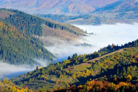 Mountain autumn landscape with colorful forest