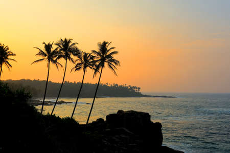 Beautiful tropical sunset with palm trees at beachの写真素材