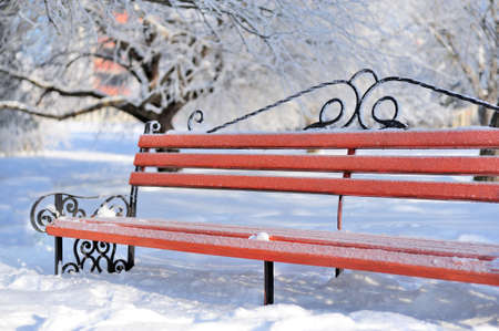 Bench in winter park, snow falls, outdoorの写真素材