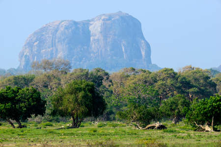 Mountain in the shape of an elephant figure in the Yala National Park (Sri Lanka)の写真素材