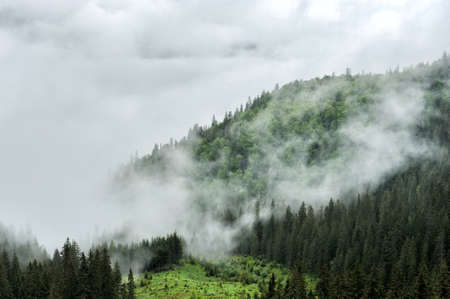 Fog and cloud mountain valley spring landscape