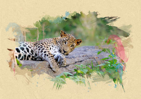 Leopard on textured paper. The effect of the paint brushの写真素材