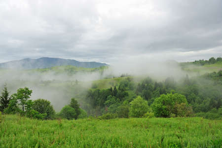 Landscape with fog in mountains and rows of treesの写真素材