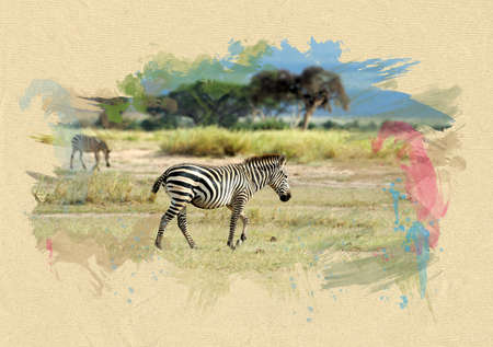 Zebra on textured paper. The effect of the paint brushの写真素材