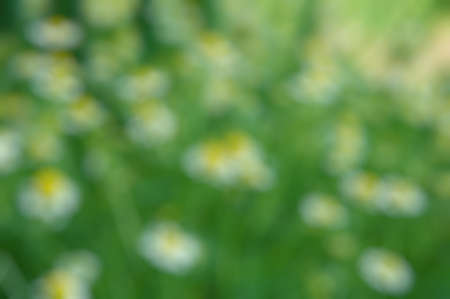 Abstract colorful defocused background. Beautiful nature backgroundの写真素材