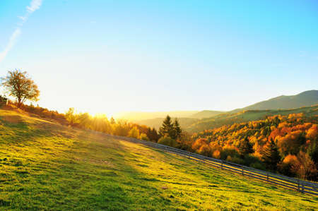 Mountain autumn landscape with colorful forestの写真素材