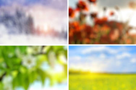 Abstract colorful defocused background. Beautiful nature backgroundの写真素材