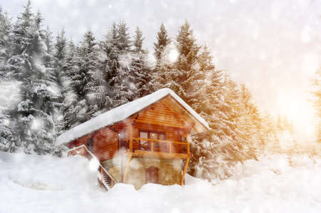 Beautiful winter landscape with snow covered treesの写真素材