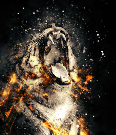 Close-up angry tiger portrait in fireの写真素材