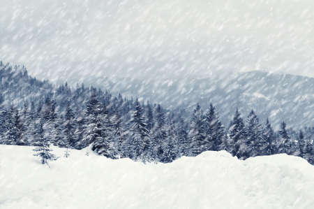 Beautiful winter landscape with snow covered treesの写真素材