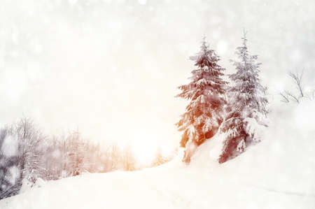Beautiful winter landscape with snow covered treesの写真素材