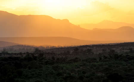 Sunset with silhouetted African savanna treesの写真素材