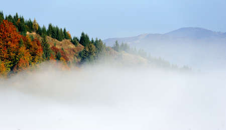 Mystical autumn forest on the mountain slopeの写真素材