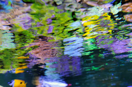 Underwater scene. Colorfull underwater water wave