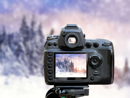 Digital camera. Beautiful landscape with winter forestの写真素材