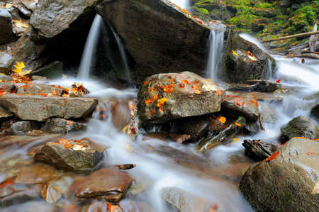 Autumn forest waterfall and rocks with yellow leavesの写真素材