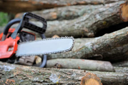 Close-up chainsaw and many tree trunksの写真素材