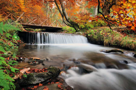 Autumn forest waterfall and rocks with yellow leavesの写真素材