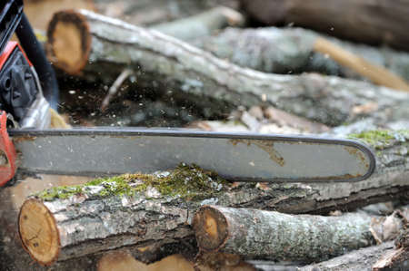 Close-up professional chainsaw blade cutting log of wood