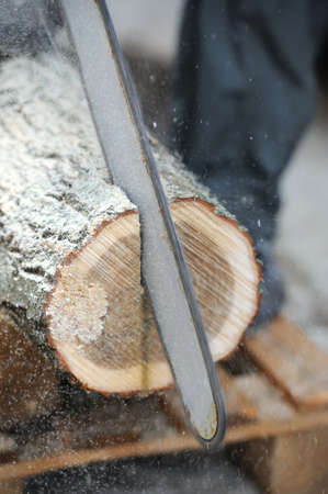 Close-up professional chainsaw blade cutting log of woodの写真素材