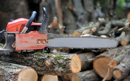 Close-up professional chainsaw blade cutting log of wood