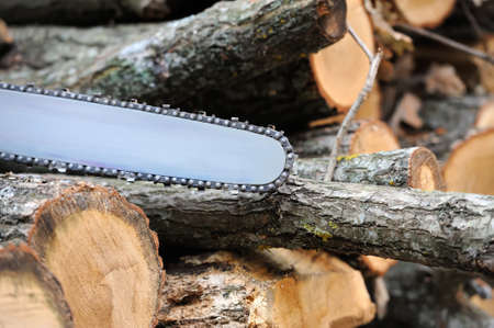Close-up professional chainsaw blade cutting log of wood