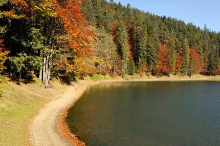 Autumn colorful foliage over lake with beautiful woods in red and yellow colorの写真素材