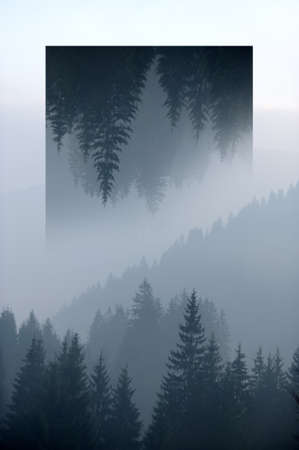 Mountains with trees and fog. Geometric reflections effect
