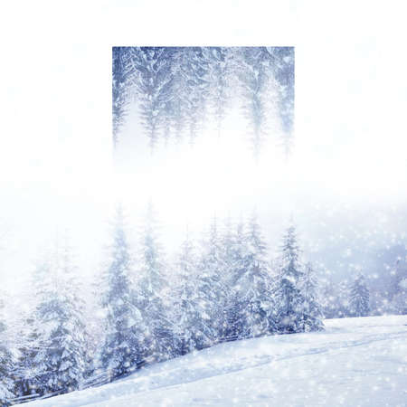 Beautiful winter landscape with snow covered trees. Geometric reflections effect