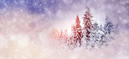 Winter background with snowy trees and snowflakes. Christmas conceptの写真素材