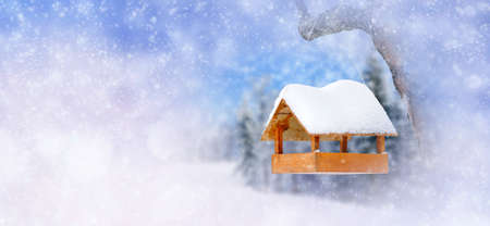 Winter background with wooden bird feeder. Christmas conceptの写真素材