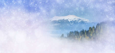 Winter background with snowy trees and snowflakes. Christmas conceptの写真素材
